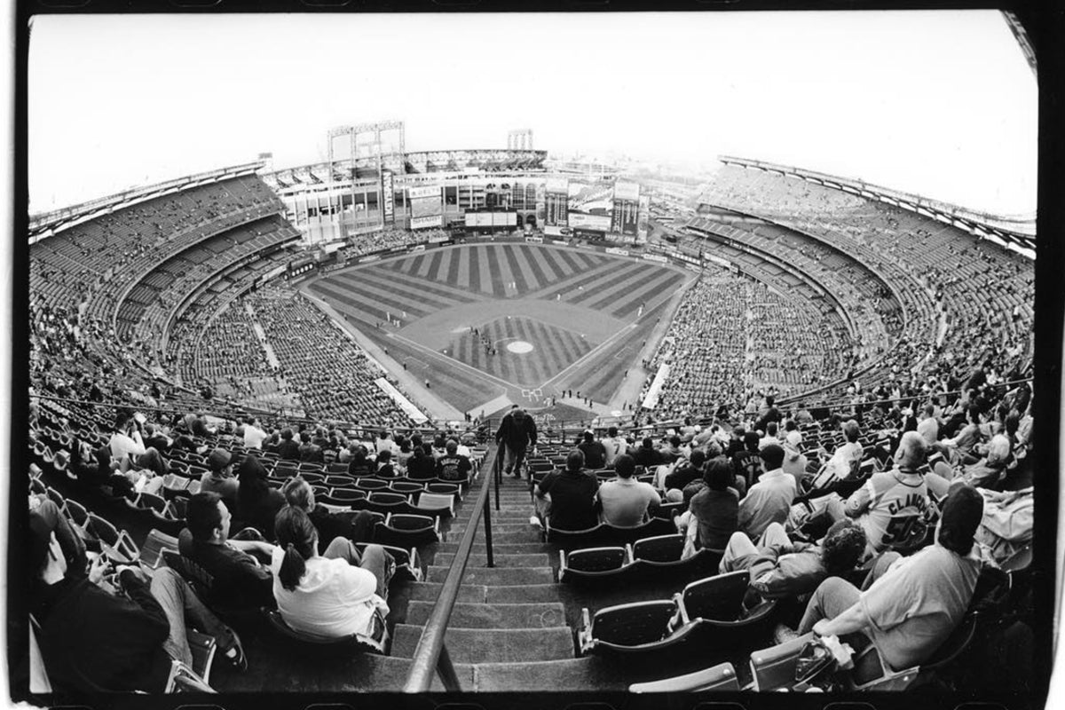 MPOTD: From The Nosebleeds