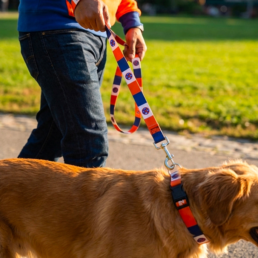 LGM Let's Go Mets | Collar/Leash
