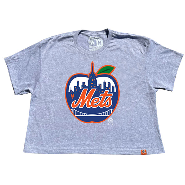 Men's New York Mets Homage Gray Citi Field Tri-Blend T-Shirt